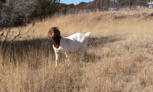 Adobe Farms LLC. Capitan