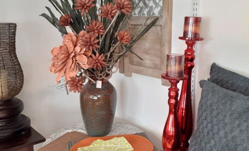 Peppermint Tree Canadian