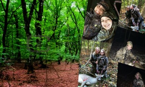 Archer Full Throttle / Online Sales ONLY