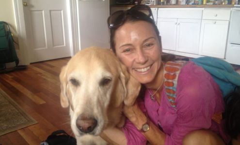 Element Pet Nutrition Telluride