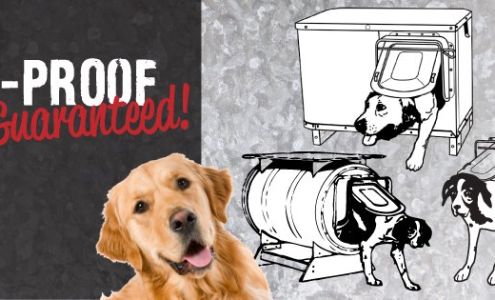 K-9 Kondo, Inc Stapleton