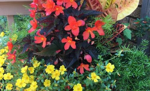 Picket Fence Foundation