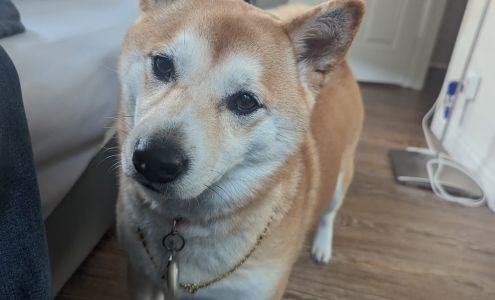 Pleasantry Jewelers, Inc.