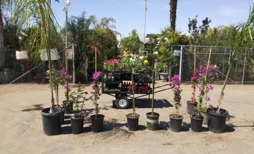 Santa Rosa Nursery