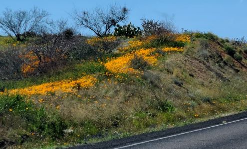 San Carlos Apache Tribal Council San Carlos