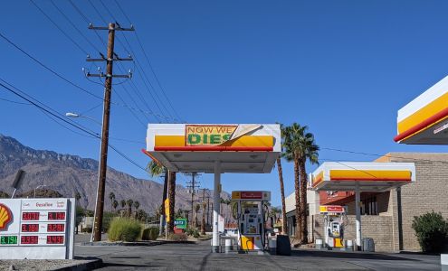 Shell Cathedral City