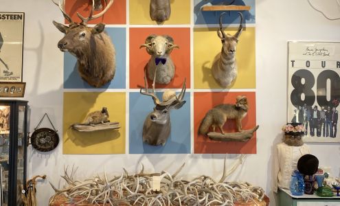 Out of the Blue Antiques