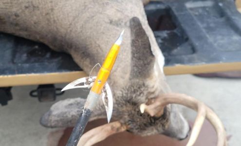 Flying Arrow Archery