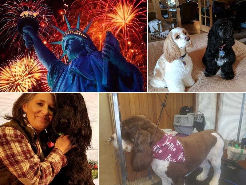 Paws Here Pet Styling