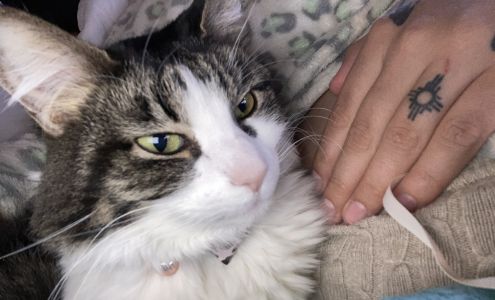 La Plata County Humane Society