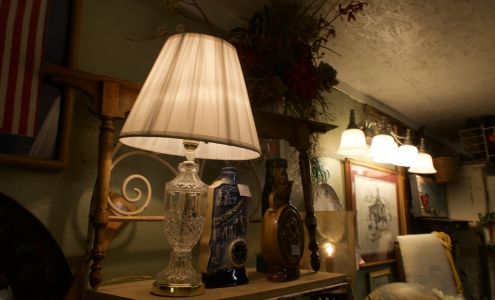 Where To Wonder Fairland