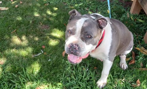 Molokai Humane Society Ho'olehua