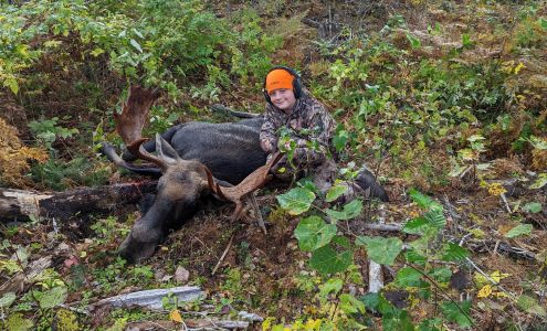 Hawkeye Hunting Guide Service Lee