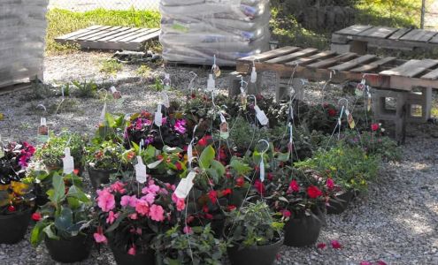 Harrison Feed & Farm Supplies