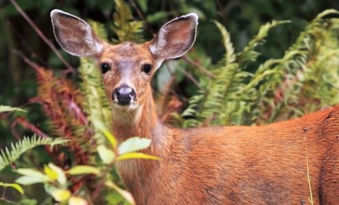 Crocker Cash Feed Store Crocker