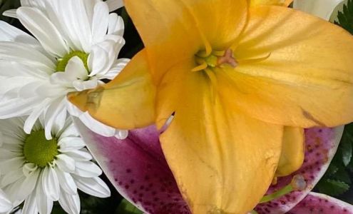 Roby's Hallmark Shop