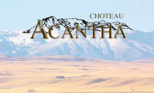 Choteau Acantha Choteau