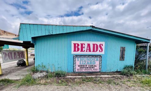Thunder Lizard Ranchos de Taos