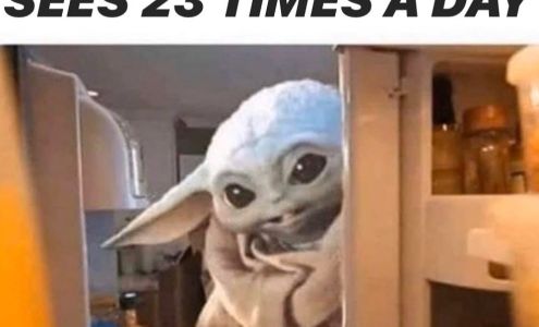 Same Day Service Company Inc