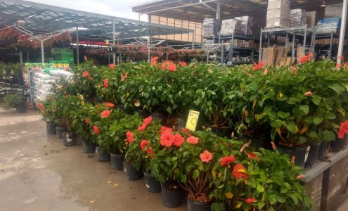 Garden Center at The Home Depot