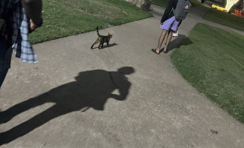 Austin College Campus Store