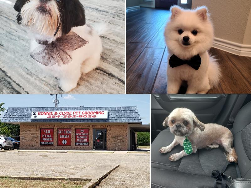 Bonnie & Clyde Grooming and Supplies