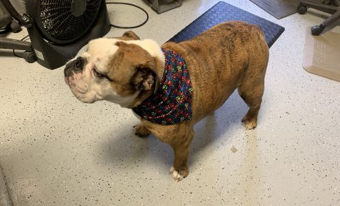 Superior Groomers Pet Salon DBA Pet Apawthecary 381 NE-14, Superior Nebraska 68978