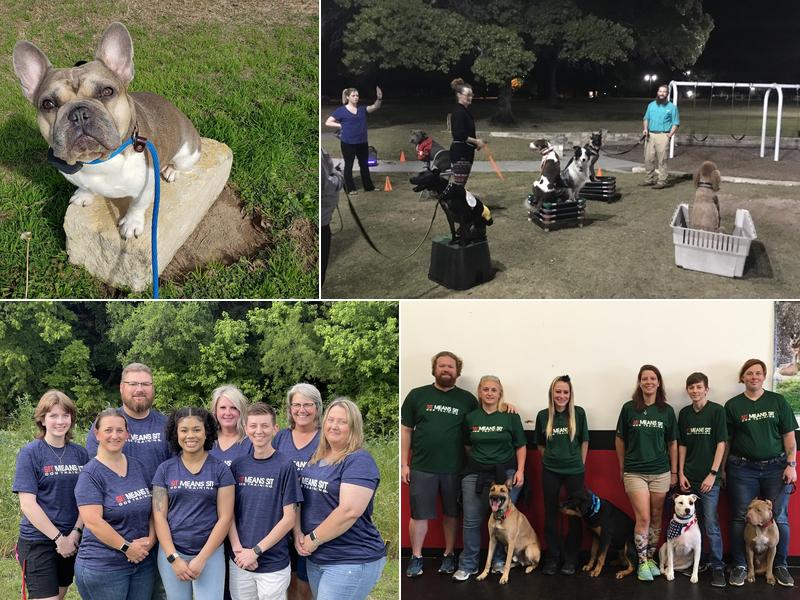 Sit Means Sit Dog Training Central Texas