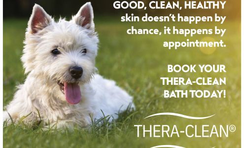 Pup Country at Converse