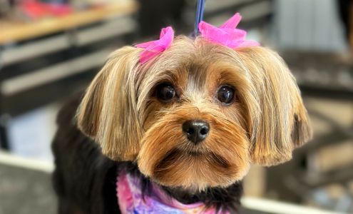 Rebarkable Doggie Day Spa 2012 Avenue H, Nederland Texas 77627