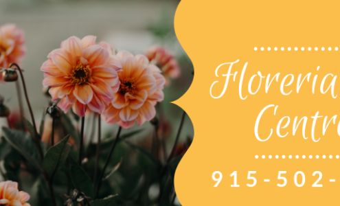 Floreria Del Centro Flower Shop