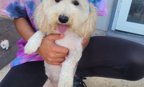 Canine Resort Pet Grooming 13034 Eastlake Blvd suite c, Horizon City Texas 79928