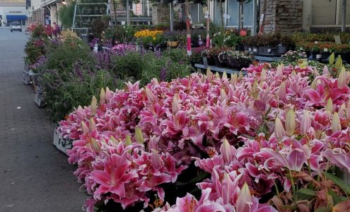 Garden Center at The Home Depot