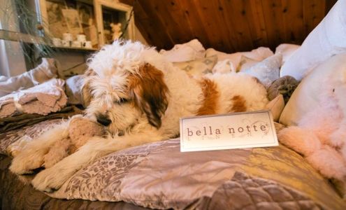 Jeannine's Home Furnishings, Gifts & Accessories