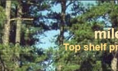 Joe N Miles & Sons Silver Creek