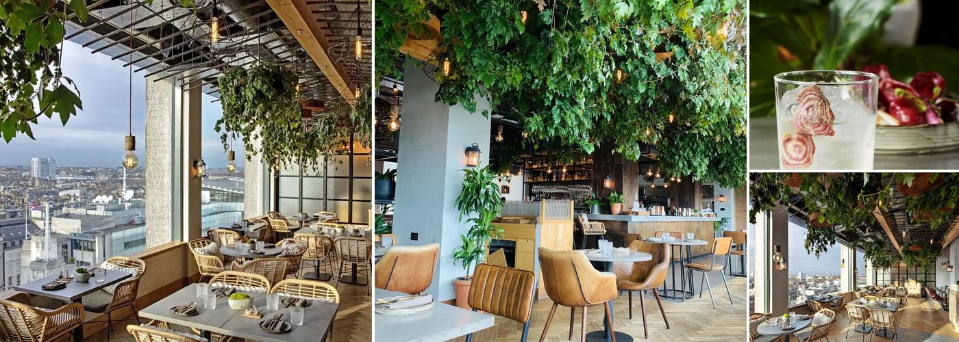 Madera at Treehouse London