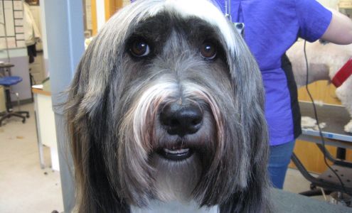 The Fluffy Ruff Dog Spa 344 Tormey Ln NE #173, Bainbridge Island Washington 98110