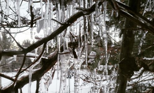 Olympic Stained Glass