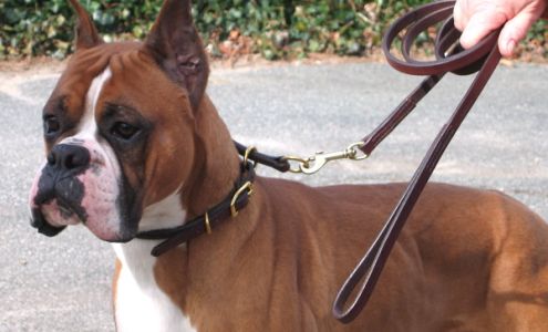 Hogan Custom Leather Worthington