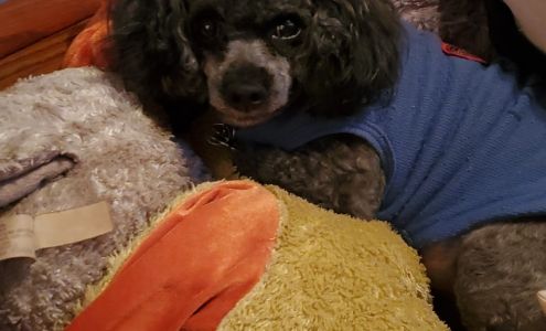 Pets Plus 17634 Heron Rd #6568, Little Falls Minnesota 56345