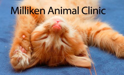 VCA Milliken Animal Hospital