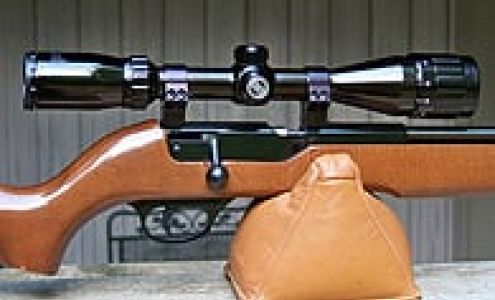 Flying Dragon Air Rifles Burt