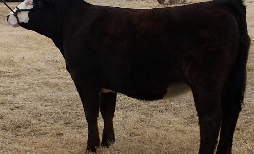 the Painted Wolf Ranch Miller