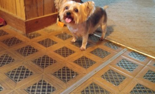 ABC for Paws and Purrs, LLC Rose Bud