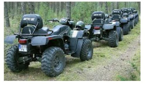 Hamm's Repair Warren