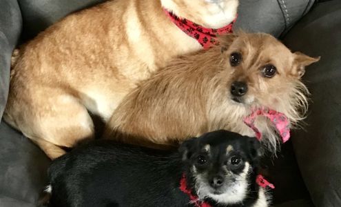 Prineville Pet Boarding & Grooming