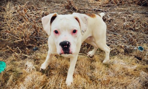 Humane Society of the Ochocos