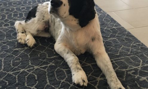 Oak Harbor Pet Haven Oak Harbor