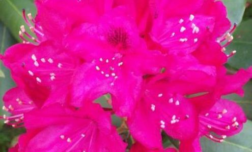 Will-Lin Enterprise Barnet