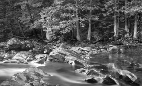 Photographers' Formulary Condon